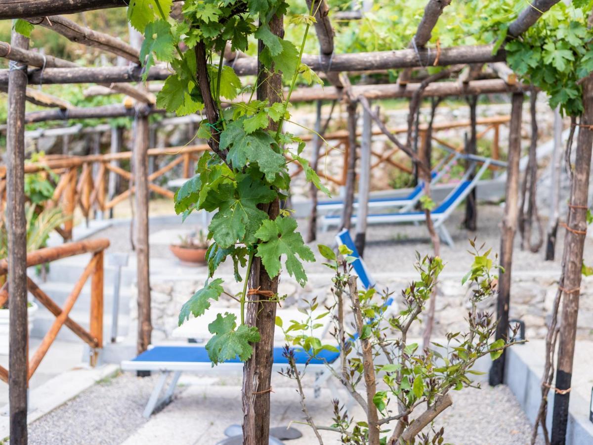 Albergo Diffuso Bacco Фуроре Экстерьер фото